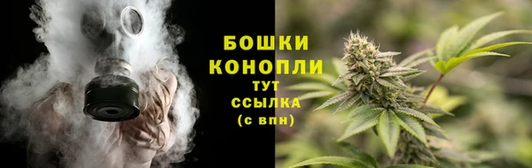 PSILOCYBIN Верея