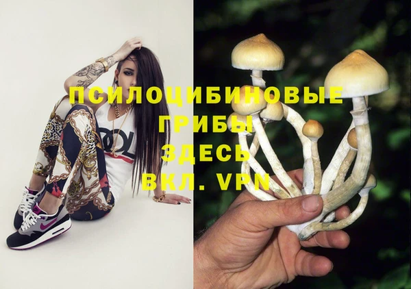 PSILOCYBIN Верея