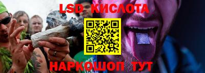 прущие грибы Новокубанск