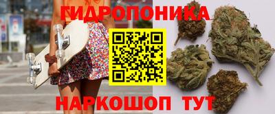 хмурый Новозыбков