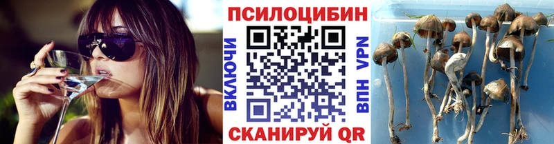 мега tor Мончегорск darknet как зайти Галлюциногенные грибы ЛСД