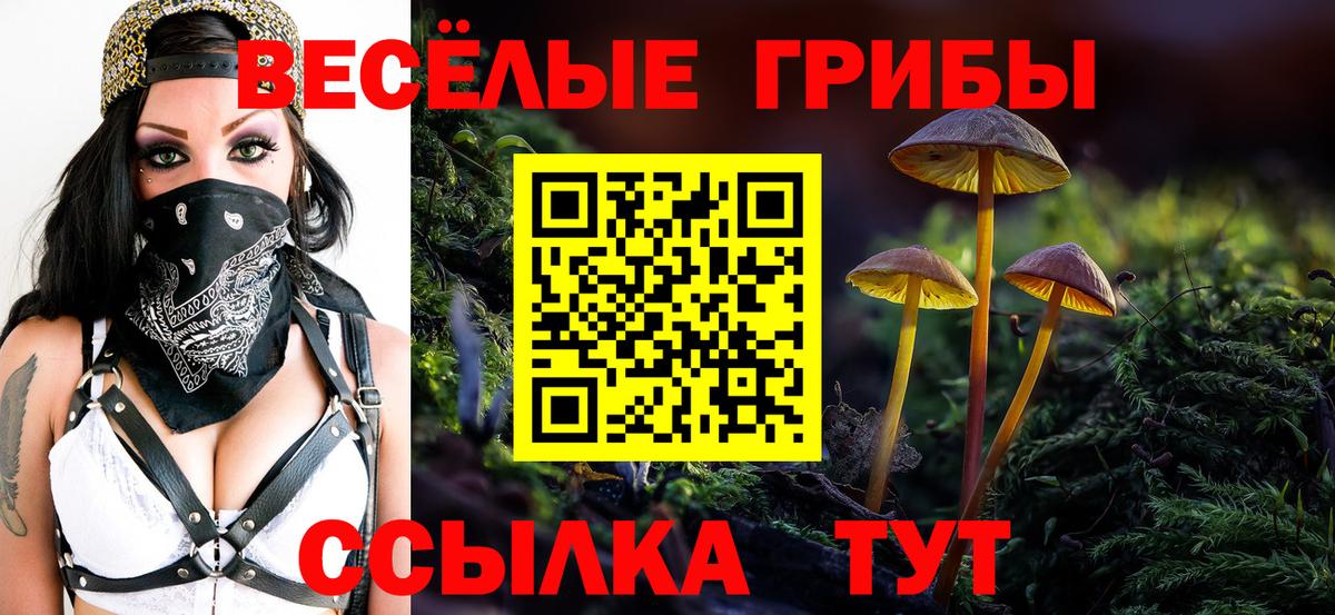 Псилоцибиновые грибы прущие грибы  Вход с VPN  Псилоцибиновые грибы прущие грибы  Мончегорск 