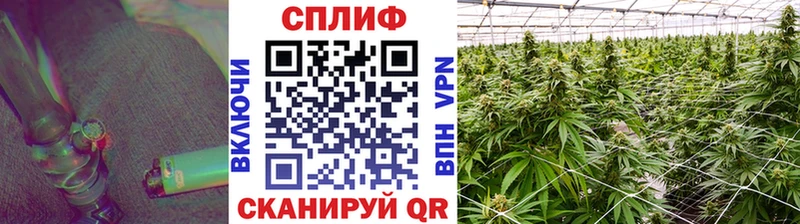 Шишки марихуана план Мончегорск