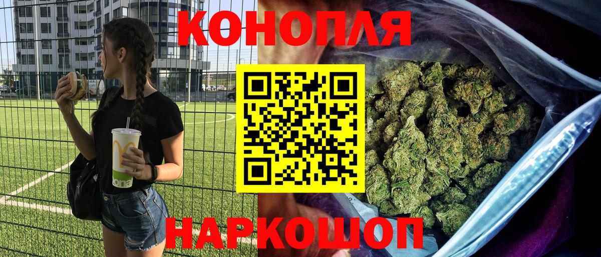 Конопля OG Kush Мончегорск